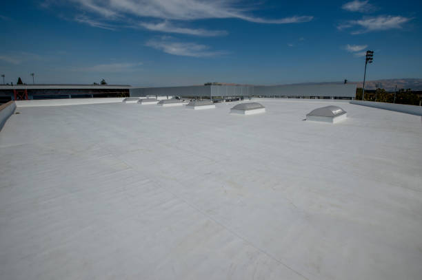 Best Chimney Flashing Repair  in Mion, AR