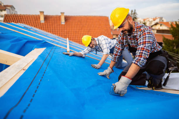 Best Storm Damage Roof Repair  in Mion, AR