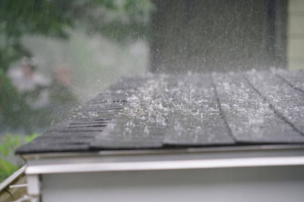 Best Emergency Roof Repair Services  in Mion, AR