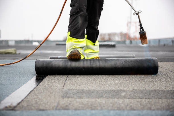 Best Solar Panel Roofing Installation  in Mion, AR