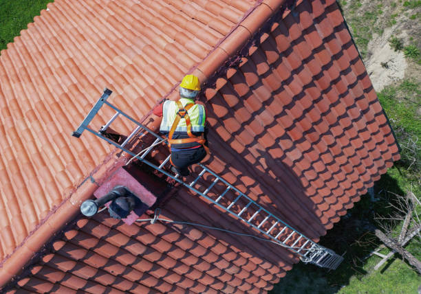 Best Roof Insulation Installation  in Mion, AR